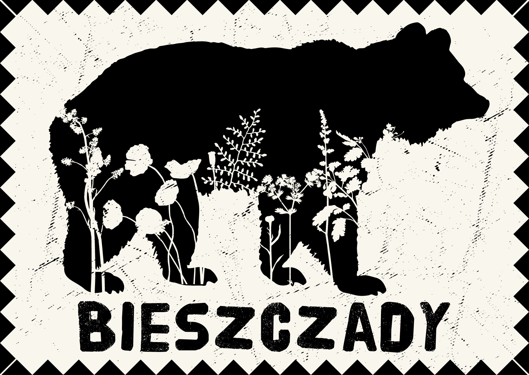 BIESZCZADY NIEDŹWIEDŹ 1