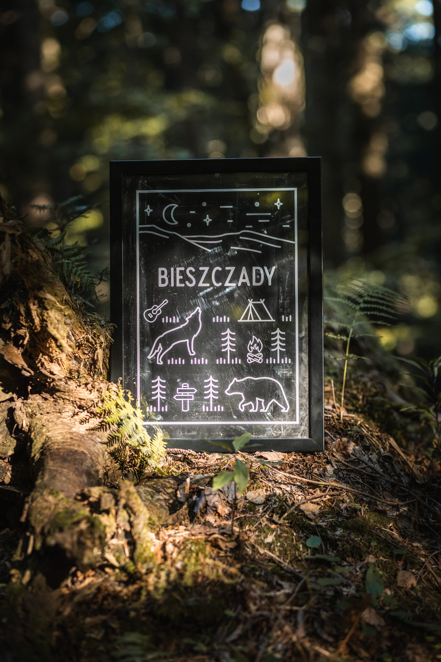 plakaty A3 - A4 - www.wilczastrefa.pl - POCZTÓWKA Z BIESZCZAD czarna