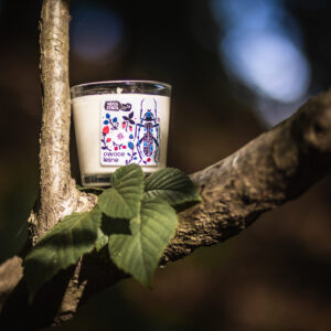 Świeca sojowa OWOCE LEŚNE