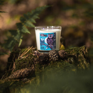 Świeca sojowa PĘDY SOSNY